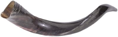 Jerusalem Shofar Kosher Yemenite Horn Polished Natural Chofar Showfar Jewish Blow Trumpet Gift Elul instrument