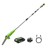 Greenworks 24V 20cm Akku-Hochentaster mit 2,68m Reichweite zum Baumschneiden, Elektrische Kettensäge mit Automatischer Ölung, 6,7 m/s Kettengeschwindigkeit, 2Ah Akku und 30W USB C Ladegerät