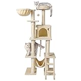 AOKCATS Cat Tree Cat Tower, 61 inches Multi-Level Cat Tree for Indoor Cats with Cat Condo, Scratching Posts, Top Perch & Ladder for Kittens Cat Climbing Stand Kitty Play House for Small Medium Cats