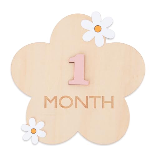 Daisy 3D Baby Monthly Milestone, Wooden Baby Milestone Signs, Monthly Milestone Wood Discs, Baby Milestone Discs (3D Flower) by OENIZI - Used condition - US$6.64