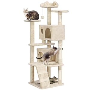 Yaheetech Arbre à Chat avec 2 Niches 3 Plate...