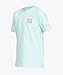 Billabong Kids (2-7) All Day Loose Fit Short Sleeve Rashguard - Crayon Wave (Mint, Large)