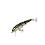 Tennessee Shad