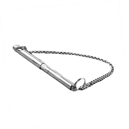 Training Session with Didiseaon Dog Whistle