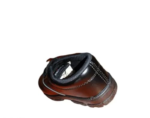Image of School Shoes