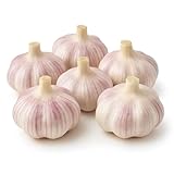 Garlic Bulbs for Planting (6 Pack) – Fresh Hardneck Seed...