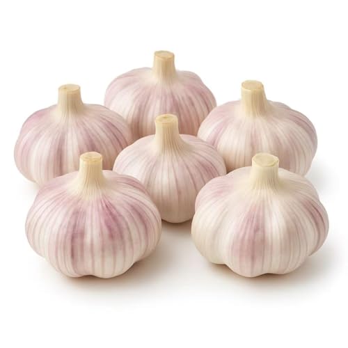 Garlic Bulbs for Planting (6 Pack) – Fresh Hardneck Seed Garlic, Non-GMO Heirloom Cloves for Growing or Cooking