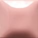 Produktbild Mayco Stroke & Coat Wonderglaze for Ceramic Bisque - 2 oz  SC1 pink a Boo