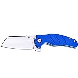KIZER V3488A3 Vanguard Mini Sheepdog C01C Blue G10 Knife