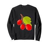Clever Witty Hawthorn Berry Designs