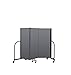Screenflex CFSL503-DG Commercial Portable Room Divider, 3 Panels