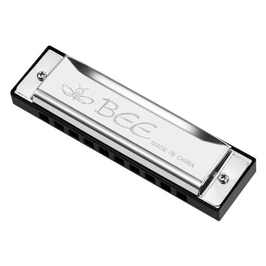 OFFCUP Armónica Diatónica de 10 Agujeros, Armónica para Niños Principiantes, Regalos de Juguete para Estudiantes (Plata)