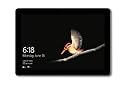 2018 Microsoft Surface Go con Intel Pentium Gold 4415Y (10-pollici, 4GB RAM, 64GB SSD) Platino (Ricondizionato)