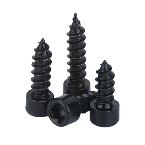 Zt^bsO˂ Zt^bsOlW Zp\PbgLbvwbh M2-M6 8.8O[hX`[ jbPbL pbN(M2X10mm(50PCS))