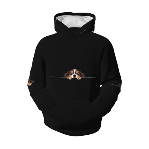 Image of Boy'S Sweatshirt Fleece Hoodie Blend Hooded Sweatshirt Plush Pullover Hoodie Size For Boys And Girls
