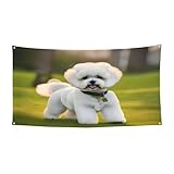 Bichon Frise Dog On The Grassprint - Cartel decorativo para cumpleaños, aniversario, boda, Halloween, fácil de colgar