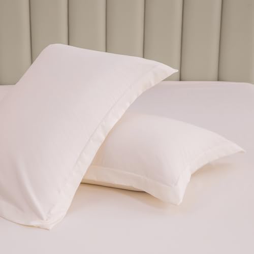DONETELLA Pillow Cases Set of 2 - Standard Size Pillowcase with Envelope Closure Soft Brushed Microfiber- Wrinkle and Fade Resistant Bed Pillow Case Cover 20x30 inches