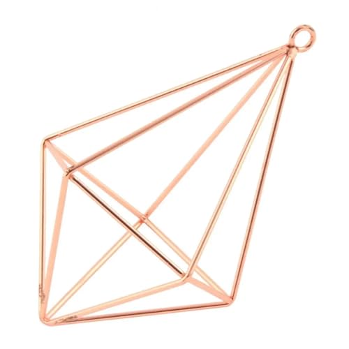 v^[eE vgX^h GAvgz_[ 􉽊wIKXeE AɐBXe[V SX^ht GAvgz_[(Rose Gold,A)
