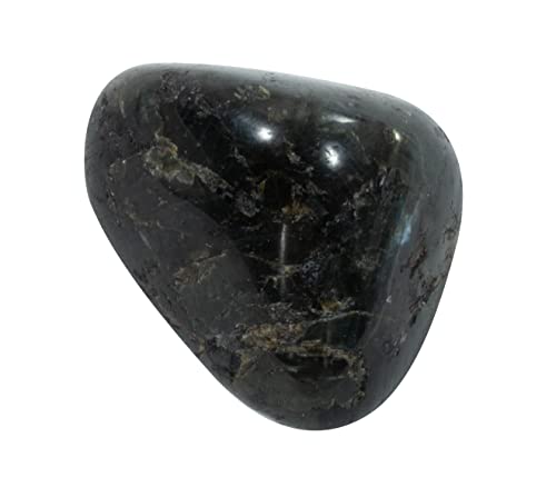 Botega Exclusive Black Cat Third Eye Fortune Teller Square Stepping Stone 10.16”