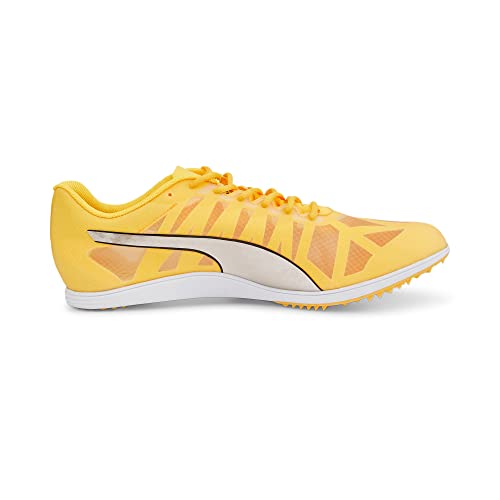 PUMA PUMA Evospeed Distance 10 Sun Stream/Metallic Silver/Puma Black 11 D (M)