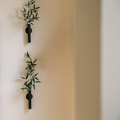 Likeminds 5” Wall Flower Vase (2) | Metal Plant Holder | Multipurpose Wall Mounted Bathroom Decor | Apartment Window Vase | Dried Flowers Pampas Grass Wall Vase Sconce | Wall Plant Flower Holder #TOP6