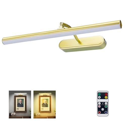RAIFOOLLY Picture Light,3AA Battery Wall Lights,Wireless Art Lights for Paintings,Remote Control Accent Light with Timer and Dimmable for Frame,Portrait,Mirror-GD