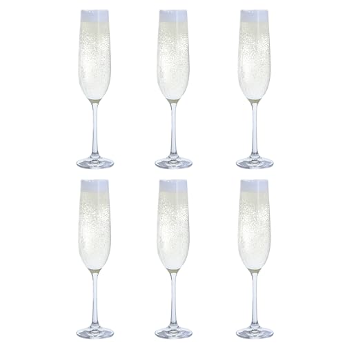 Dartington Crystal - Juego de seis copas de champán