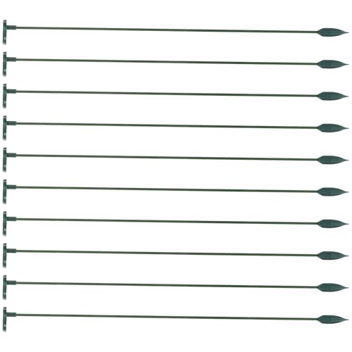 LALAFINA 10 Ax AؔpϋvNC~OgX ԂϗtA̐T|[g K[f⒆