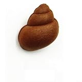 Fangen Sie mehr Fische mit 15 Stück Schneckenform-Ködern, leichte und bunte EVA-Pellets für einfache Verwendung (braun)