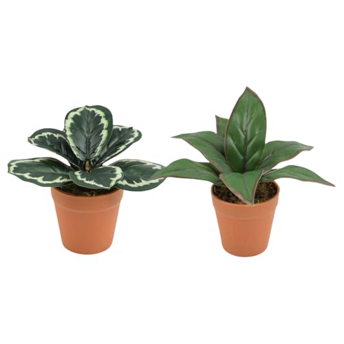 Plantes artificielles à feuilles persistantes et pots durables - 2