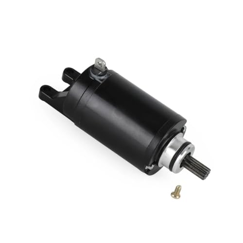 Démarreur moto Tiger 800 XCX XRT T1313333 électricité