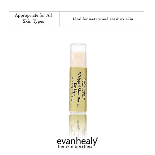 Evanhealy Whipped Shea Butter For Lips | Organic Red Raspberry Seed Oil, Beeswax, & Argan Oil | Moisturizing Lip Balm (3 Pack) #TOP5