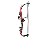 Barnett Tomcat Youth Compound Bow, Right-Handed Bow for Young Archers 8+, 17-22lb Draw Weight, 18-22in Draw Length, with 3 Pin Fiber Optic Sight, 2 Arrows, Attached Quiver, Red