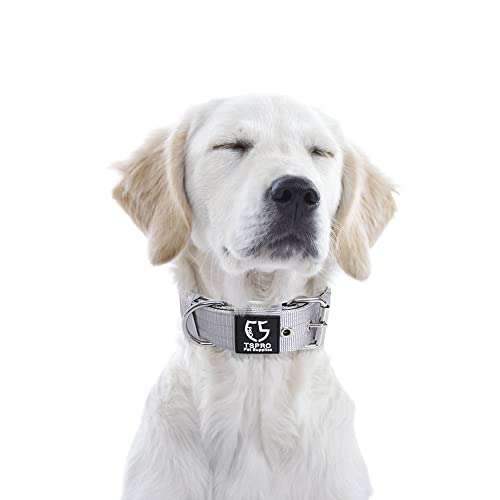 TSPRO Taktisches Hundehalsband, Robustes Halsband für Hunde mit Metallschnallenverschluss, 3,8 cm Breit, Verstellbar und Dick für Mittel bis Großgroße Hunde (Silber M)