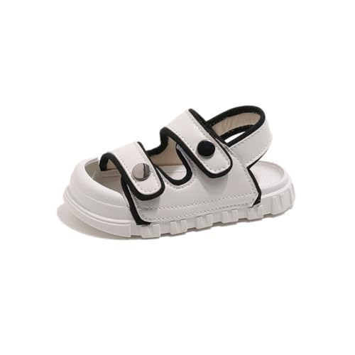 [MYJYG] xr[ T_ LbY X|[cT_ }WbNe[v y ~ j̎q ̎q qC  r[`T_ ʋC 14`20.5cm a v[g ėp (x[W,17.0 cm) [sAi]