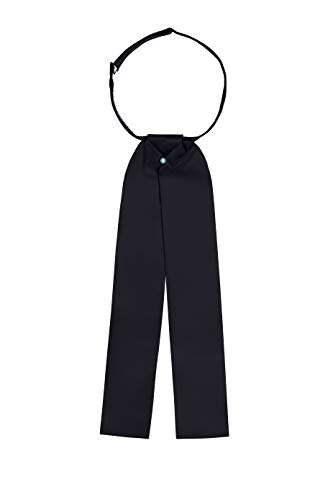 Men's Ascot Tie (Black)