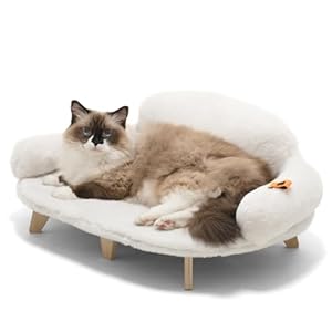 MEWOOFUN Cat Bed with Removable Washable Cover, Elevated Cat Couch for Cats & Small Medium Dogs, Wooden Pet Sofa Modern Pet Furniture (M-Plush Beige)