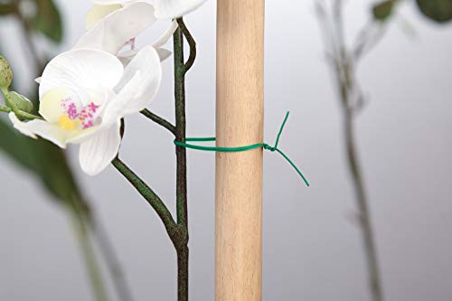 image for AOMGD 2 Pack 328 Feet (Total 200 m) Twist Tie Multi-Function Garden Pl