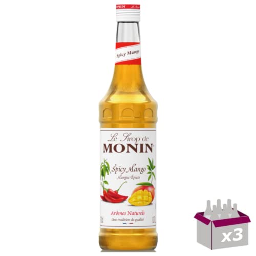 Sirop mangue épicée 70cL lot de 3 boisson aromatisée cocktail et mixologie