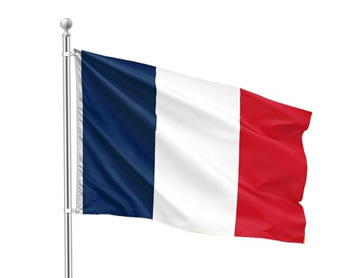 FLAGLY Drapeau France 90 x 150 cm – Modèle standard en polyester 90 g/m² – résistant aux intempéries et aux UV, avec œillets (90 x 150 cm, France)