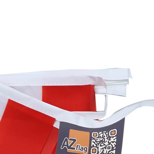 Image of AZ FLAG Savoy 6 meters BUNTING Flag 20 flags 9'' x 6'' - Savoyard - Savoie STRING flags 15 x 21 cm