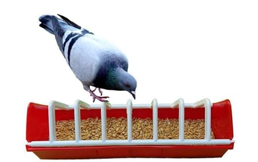 (Pack of 2) 9' Inch-Plastic Bird Food Feeder Tray for Pigeons, Chickens and Other Pet Animals (2)-image-41