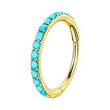 XFSRG Piercing Nariz G23 Titanio 20G Piercing Oreja Aro Segmentado con Piedras Incrustadas Hipoalergénico Joyería Corporal para Cartílago Helix Tragus Septum