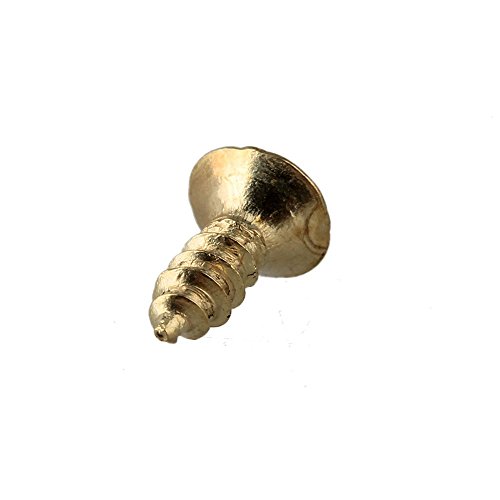 Rdexp Yellow Iron Hardware Flat Head Wood Screw Self Tapping Screws (2 X 6Mm) #TOP5