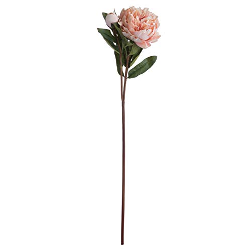 The Recipe Peach Peony Rose orange one size - Image 3