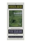 The Hydrogen Jukebox: Selected Writings of Peter Schjeldahl, 1978-1990 (Lannan Series)