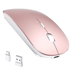 RaceGT Ergonomische Maus 2.4G Type A+Type C-PINK