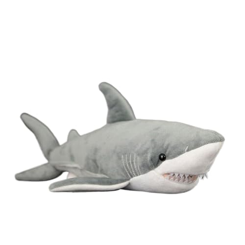 �ʂ������ �z�I�W���U�� ������ �j���T�� �C�m���� �ӂ�ӂ� ���A�� ���G��ǂ� �D������� �����n ���� �x�b�h�T�C�h ���� 40cm �Q������ �u�� ���j�� �O���[ �a���� ���܎O ���ǂ��̓� �N���X�}�X �v���[���g