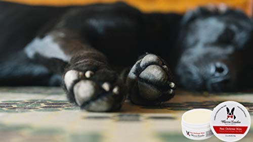 Warren London Paw Defense Wax - Dog Paw Balm For Dry Paws In Winter And Summer - Dog Skin Soother To Protect Against Cold, Hot & Rough Surfaces - Made In Usa W/Natural Aloe Vera And Eucalyptus #TOP6