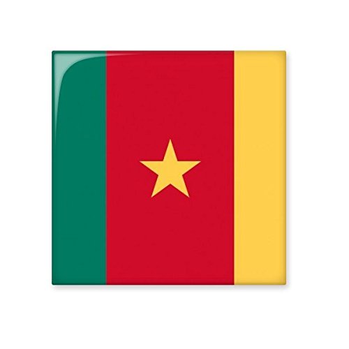 Décor de cuisine africain avec le carreau en céramique drapeau Cameroun